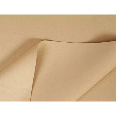 Bytový Textil Škodák a.s. Blackout - béžový, pogumovaný, 140 x 250 cm – Hledejceny.cz