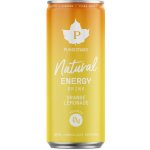 Puhdistamo Natural Energy Drink 330 ml – Hledejceny.cz