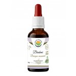 Salvia paradise Bacopa monnieri Brahmi AF tinktura 50 ml – Hledejceny.cz