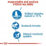 Royal Canin Ultra Light in jelly 85 g – Sleviste.cz