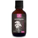 Grešík Echinacea kořen 50 ml – Zboží Mobilmania