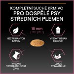 Purina Pro Plan Medium Adult Sensitive Skin losos 7 kg – Sleviste.cz
