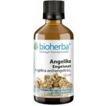 Bioherba Angelika (Engelwurz) kapky tinktura 50 ml – Hledejceny.cz