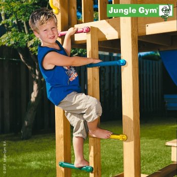 Jungle Gym 1 Step Module