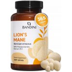 Bandini pastilky Hericium Erinaceus 365 ks – Hledejceny.cz
