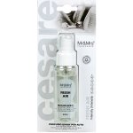 Mr&Mrs Fragrance Cesare Spray Fresh Air – Hledejceny.cz