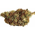 Drskunk OG Kush 12%HHC-PO + 15%H4CDB neobsahuje THC 1 g – Zboží Dáma