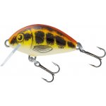 Salmo Tiny Floating Baby Minnow 3 cm 2 g – Hledejceny.cz
