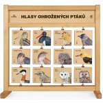 Lesní svět Hlasy ohrožených ptáků Stolní – Hledejceny.cz