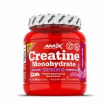 Amix Creatine Monohydrate 360 g – Hledejceny.cz