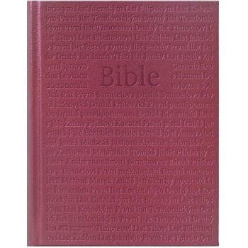 Kniha Bible