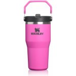 Stanley The Quencher Cup H2.O FlowState Tumbler 600 ml 20oz Hot Pink – Hledejceny.cz