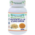 Planet Ayurveda Boswellia-Curcumin extrakt 10:1 500 mg 60 kapslí – Hledejceny.cz
