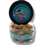 JV Baits Rozpustné Řepkové Boilies Mango 300 ml 20 mm – Hledejceny.cz