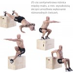HMS DSC01 Plyo Box – Sleviste.cz