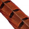 Výroba nástrahy Hends Products bažant ocastní peří Pheasant Tail Oranžová