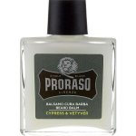 Proraso Cypress and Vetyver balzám na vousy 100 ml – Zboží Dáma