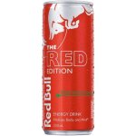 Red Bull Red Watermelon 250 ml – Zboží Dáma