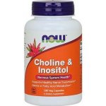 Now Foods Cholin & Inositol 500 mg x 100 kapslí – Hledejceny.cz