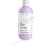 Bisou Fix Your Color Šampon 300 ml – Zboží Mobilmania