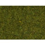 Noch divoká tráva 4 mm středně zelená "Louka" 08361 – Hledejceny.cz