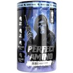 Skull Labs Perfect Amino 450 g – Zbozi.Blesk.cz