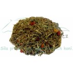 Koňské bylinky Bylinková směs na lymfatický systém 1 kg – Zboží Dáma