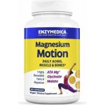 Enzymedica Magnesium Motion 60 kapslí – Hledejceny.cz