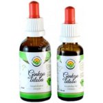 Salvia Paradis Ginkgo biloba AF tinktura 50 ml – Hledejceny.cz