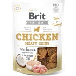 BRIT Jerky Snack Chicken Meaty Coins with Insect 80 g – Hledejceny.cz