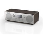 Panasonic RF-D100BTEGT – Zboží Živě