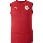 Puma Galatasaray Istanbul Training SL T-Shirt 77969001-202 – Zboží Mobilmania