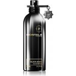 Montale Black Aoud parfémovaná voda pánská 100 ml – Hledejceny.cz