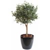 Květina Luxusní umělý strom OLIVOVNÍK BALL TREE, 90cm