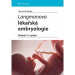 Langmanova lékařská embryologie – Hledejceny.cz