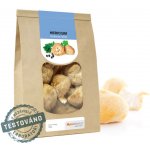 MycoMedica Hericium korálovec ježatý sušený 100 g – Zboží Dáma