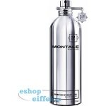 Montale Embruns d'Essaouira parfémovaná voda unisex 100 ml – Hledejceny.cz