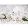 Tapety Weblux 63054309 Fototapeta papír Orchids spa Orchidejové lázně rozměry 184 x 128 cm