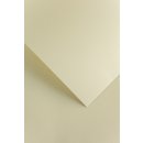 Galeria Papieru ozdobný papír Plátno bílá 230g 20ks