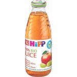 HiPP BIO Jablečno-hroznová 500 ml – Zboží Dáma