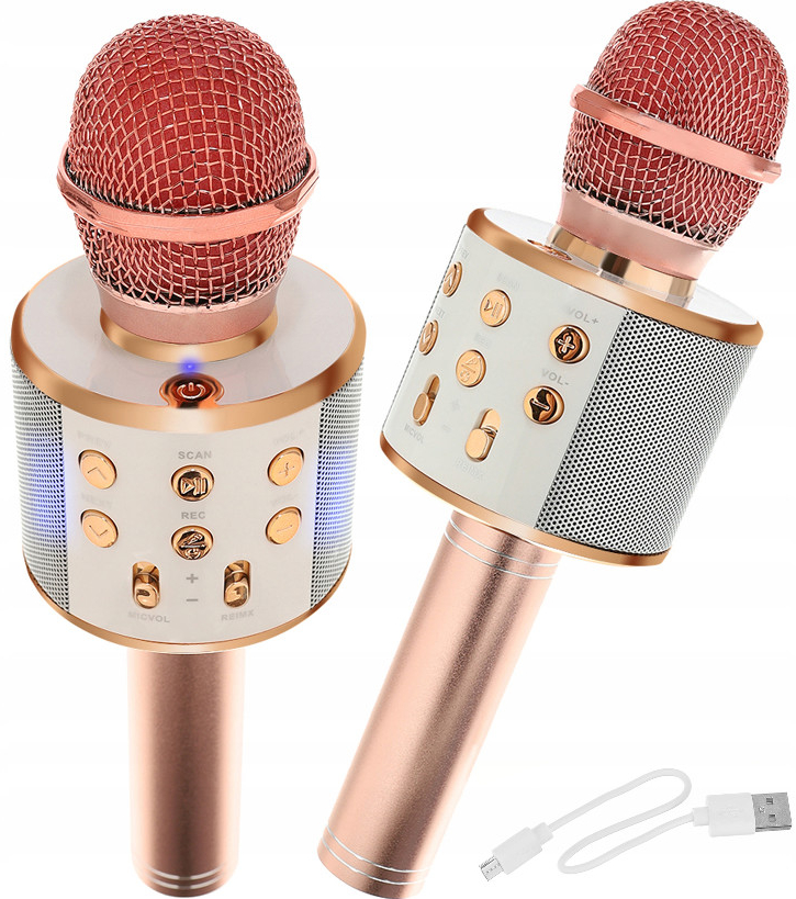 WSTER WS 858 Karaoke bluetooth mikrofon růžová od 349 Kč - Heureka.cz
