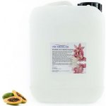 PM Aqualog esence do parních kabin papaya 863-005/D 5 l – Hledejceny.cz