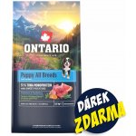 Ontario Puppy & Junior All Breeds Monoprotein Tuna & Sweet Potatoes 6,5 kg – Hledejceny.cz
