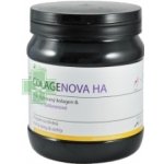 Liftea Colagenova HA Vanilka 390 g – Hledejceny.cz