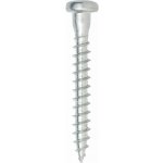 Vruty Rapi-Tec do tesařského kování, 5x40mm, T20, bílý zinek, 250ks – Hledejceny.cz