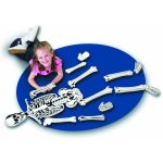 Pěnové puzzle Pěnová puzzle kostra (765023033328) – Zboží Dáma