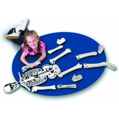 Pěnové puzzle Pěnová puzzle kostra (765023033328) – Zboží Dáma