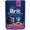 Brit Premium Cat with Salmon & Trout 100 g
