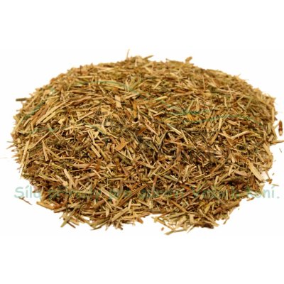Koňské bylinky Svízel přítula nať Galium aparine 1 kg – Zboží Dáma