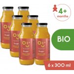 Beggs BIO Nápoj tropické ovoce 6 x 300 ml – Hledejceny.cz